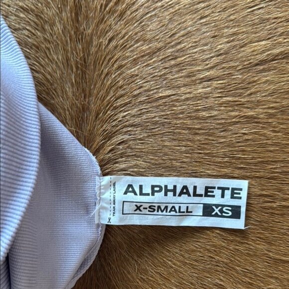 Alphalete Amplify Shorts in Misty Lilac - Picture 3 of 4